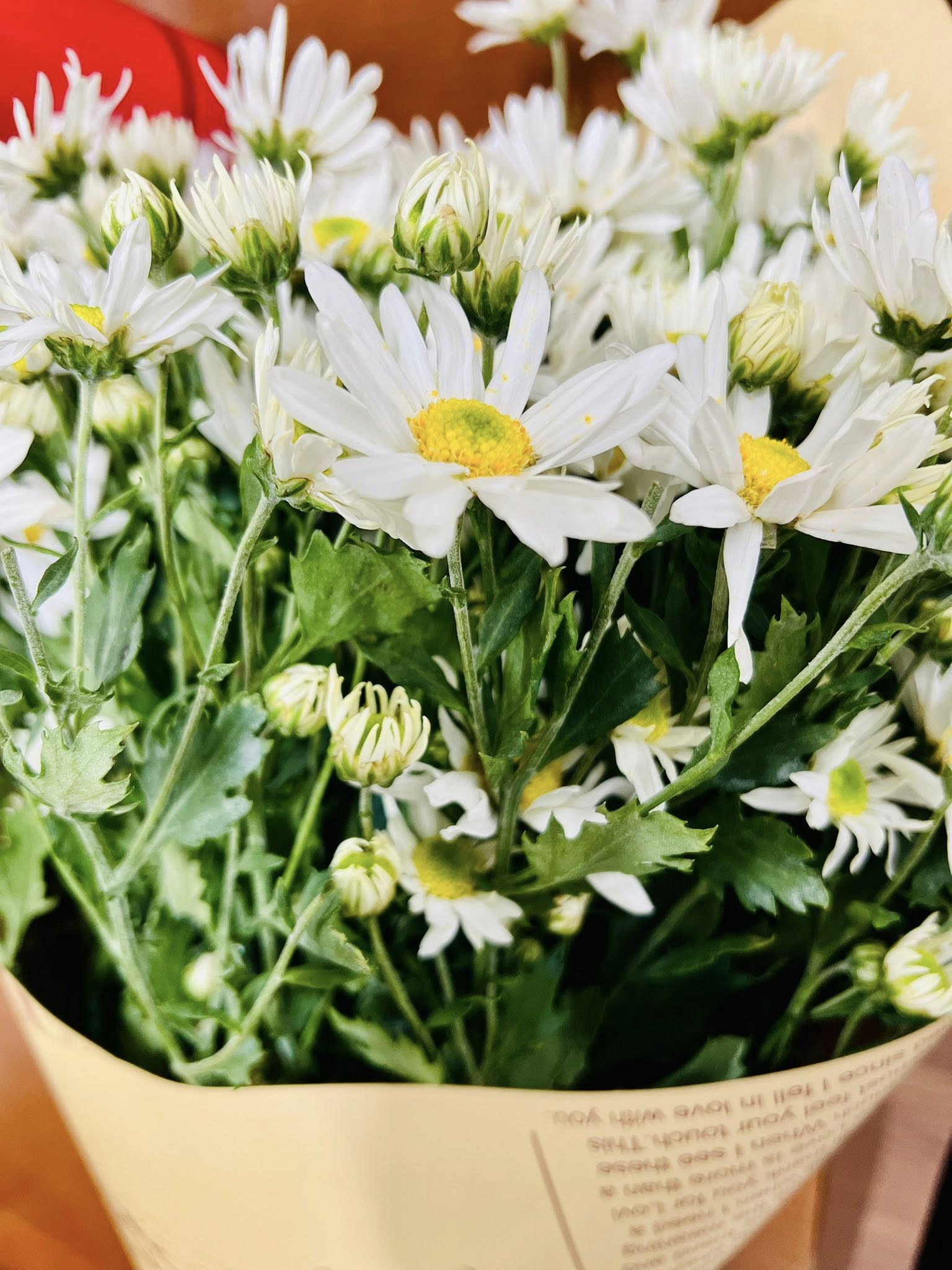 582318846_1270818788422568_721662221151355449_n